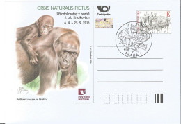 CDV PM 109 Czech Republic Exhibition In Post Museum - Knoteks 2016 Gorilla Butterfly Cancel - Gorillas