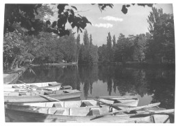 7074 - 21 - CÔTE D'OR - BEAUNE - Le Parc De La BOUZAIZE - Lugares