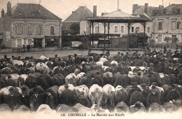 Chemillé : Le Marché Aux Boeufs - Chemille