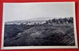 CONGO BELGE - MINES D'OR De KILO-MOTO -  Kilo  - Vue De L'Hôpital , Noirs Et Européens - Congo Belge