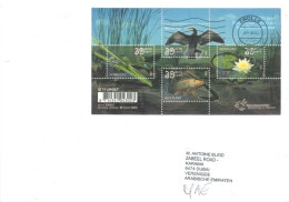 NETHERLANDS  - 2022,  STAMPS COVER TO DUBAI.. - Storia Postale