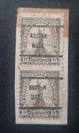 United States Perfin Precancel Stamps - Perforés