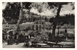 ISRAËL - Jerusalem - Garden Of Gethsemane - Carte Postale Ancienne - Israël