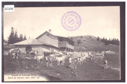 FORMAT 10x15cm - DISTRICT D'ORBE - CHALET ET SOMMET DE LA DENT DE VAULION - VACHES - TB - Vallorbe