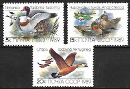 Russia CCCP - MNH** Complete 1989 Set 3/3 :   Common Shelduck +  Eurasian Teal  +   Ruddy Shelduck - Entenvögel