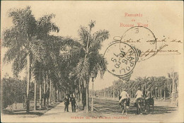 ARGENTINA - RECUERDO DE BUENOS AIRES - AVENIDA DE LAS PALMAS - MAILED 1900 (17869) - Argentine