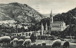 FRANCE - Lourdes - Vue Sur La Basilique Et Le Pic Du Jer -  P.D. - Carte Postale Ancienne - Lourdes