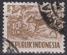 1957 Indonesien ° Mi:ID 172, Sn:ID 425, Yt:ID 119A, Javanese Mousedeer (Tragelus Javanicus) - Indonésie