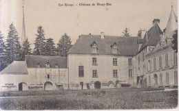 Les Riceys Chateau De Ricey Bas 1908 - Les Riceys