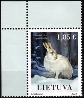 LITHUANIA 2024-02 FAUNA Animals Mammals Rodents: White Hare. CORNER, MNH - Rabbits