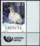 LITHUANIA 2024-02 FAUNA Animals Mammals Rodents: White Hare. Post Logo CORNER, MNH - Konijnen