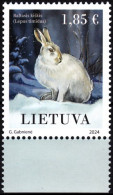 LITHUANIA 2024-02 FAUNA Animals Mammals Rodents: White Hare, MNH - Conejos