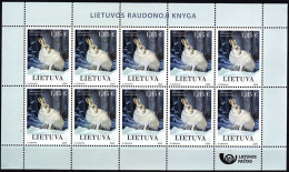 LITHUANIA 2024-02 FAUNA Animals Mammals Rodents: White Hare. MINI-SHEET, MNH - Conigli