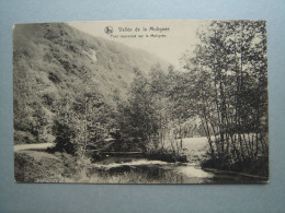 Vallée De La Molignée - Pont Improvisé Sur La Molignée - Onhaye