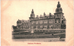 CPA Carte Postale Belgique Ardenne Château  Début 1900VM77078 - Houyet