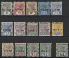 1891-1901 CCA Set Optd SPECIMEN, Fine M, SG.51s/65s, Cat. £450 - Other & Unclassified