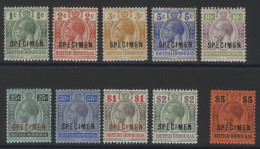 1913-21 MCCA Set Optd SPECIMEN, Fine M, SG.101s/110s. (10) Cat. £300 - Altri & Non Classificati