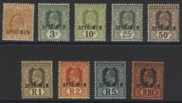 1910-11 MCCA Set Optd SPECIMEN, Fine M, SG.292s/300s. (9) Cat. £325 - Otros & Sin Clasificación