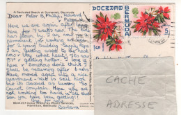 Timbres , Stamps " Fleur : Poinsettia " Sur CP , Carte , Postcard Du 12/07/72 - Bermudes