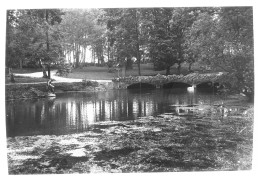 7095 - 21 - CÔTE D'OR - BEAUNE - Parc De La Bouzaize - Lugares