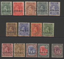 1921-22 MSCA Set Optd Or Perf (1½d, 4d, £1) SPECIMEN, 1s - Missing Perf At Top O/w Generally Fine M With Some Toning, SG - Other & Unclassified