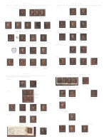 1841-61 Extensive U 1d Line Engraved Collection Written Up In A Ring Binder Incl. 1841 Red From Black Plates 5, 6 (2), 9 - Other & Unclassified