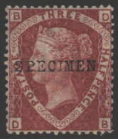 1870 1½d Rose Red Pl.3 DB, Optd SPECIMEN, Well Centred Fine O.g. SG.51sa, Cat. £300 (1) - Other & Unclassified