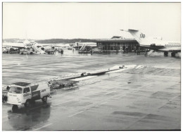 C5837/ Flughafen Genf Geneve Flugzeuge Foto 21 X 15 Cm 70er Jahre - Autres & Non Classés