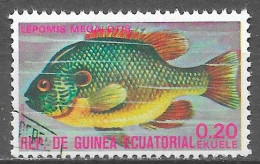 Poisson-lune à Longues Oreilles (Lepomis Megalotis) . (Voir Commentaires) - Guinea Ecuatorial