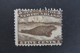 CANADA TERRE-NEUVE N°22 NEUF(*) COTE 800 EUROS VOIR SCANS - 1865-1902