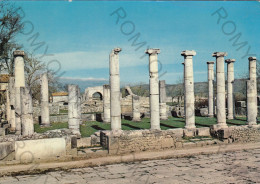 CARTOLINA  B10 SAEPINUM,CAMPOBASSO,MOLISE-BASILICA-STORIA,MEMORIA,CULTURA,RELIGIONE,BELLA ITALIA,VIAGGIATA 1971 - Campobasso