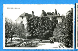 FEL1657, Schloss Habsburg, Animée, Circulée 1945 - Autres & Non Classés
