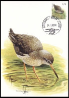 CM/MK - 3137° - Chevalier Gambette / Tureluur / Rotschenkel / Redshank - BXL-BSL - 04-11-2002 - BUZIN - SIGNÉ/GETEKEND - Storchenvögel