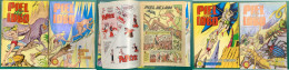 PIEL DE LOBO COLOSOS DEL COMIC. COMPLETA 20 TEBEOS - Old Comic Books