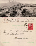 ARGENTINA 1904 POSTCARD SENT TO BUENOS AIRES - Covers & Documents