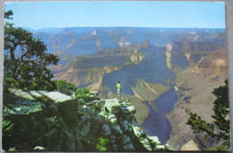 USA UNITED STATES ARIZONA GRAND CANYON LIPAN POINT KARTE CARD POSTCARD CARTE POSTALE ANSICHTSKARTE CARTOLINA POSTKARTE - Las Vegas