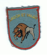 Patch - Ecusson Tissu Brodé - 3e Wing Tactique - Devise " ARDOR ET VALOR "  Aviation - Belgian Air Force ( B321) - Luchtvaart