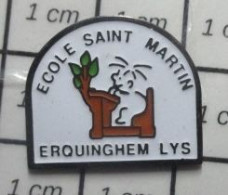 310c Pin's Pins / Beau Et Rare / ADMINISTRATIONS / ECOLE SAINT MARTIN ERQUINGHEM LYS - Administrations