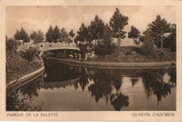 OLIVEIRA D'AZEMEIS - Parque De La Salette - PORTUGAL - Aveiro