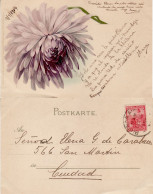 ARGENTINA 1904 POSTCARD SENT TO  BUENOS AIRES - Briefe U. Dokumente