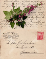 ARGENTINA 1904 POSTCARD SENT TO  BUENOS AIRES - Brieven En Documenten