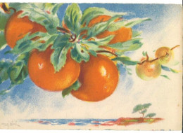 CPSM -  Illustrée Signée Barre-Dayez (Barday) - Les Fruits De France - Barday