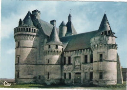 MONTS SUR GUESNES   Le Château De La Roche Du Maine - Monts Sur Guesnes