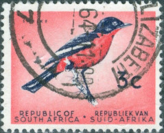 SUD AFRICA, SOUTH AFRICA, FAUNA, UCCELLI, BIRDS, 1972, FRANCOBOLLI USATI Scott:ZA 259, Yt:ZA 253 - Gebraucht