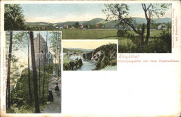 41489627 Ringethal Mittweida Zschopaupartie Mit Raubschloss Ruine Ringethal Mitt - Mittweida