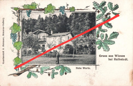 Litho AK Wiesen Viznov Hohe Warte Baude A Neusorge Ruppersdorf Halbstadt Mezimesti Braunau Broumov Trautenau Trutnov - Sudeten