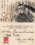 ARGENTINA 1903 POSTCARD SENT TO MAR DEL PLATA - Covers & Documents