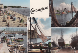 Concarneau - Collections & Lots