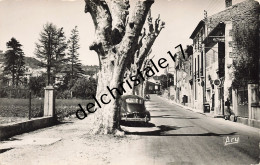 CPA 84 0171 CADENET VAUCLUSE Avenue Philippe De GIRARD Carte Photo Bords Dentelés Animée Vieille Voiture Non Circulée - Cadenet