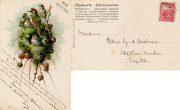 ARGENTINA 1904 POSTCARD SENT TO  BUENOS AIRES - Cartas & Documentos